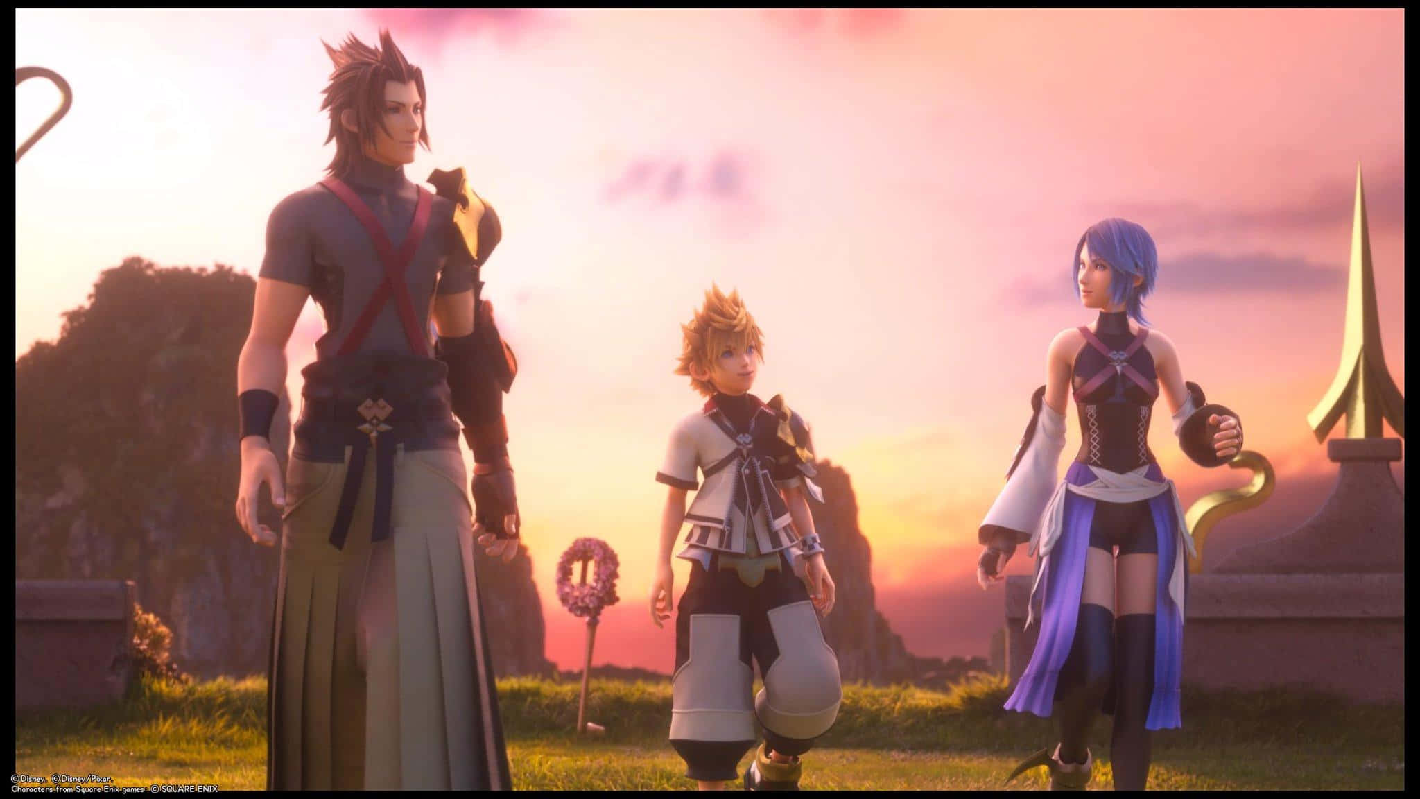 Kingdom Hearts Terra 桌布 壁紙 — 三個動畫角色站在草地上，背景是充滿活力的粉紅色和橙色日落天空，遠處有岩石 formations。
