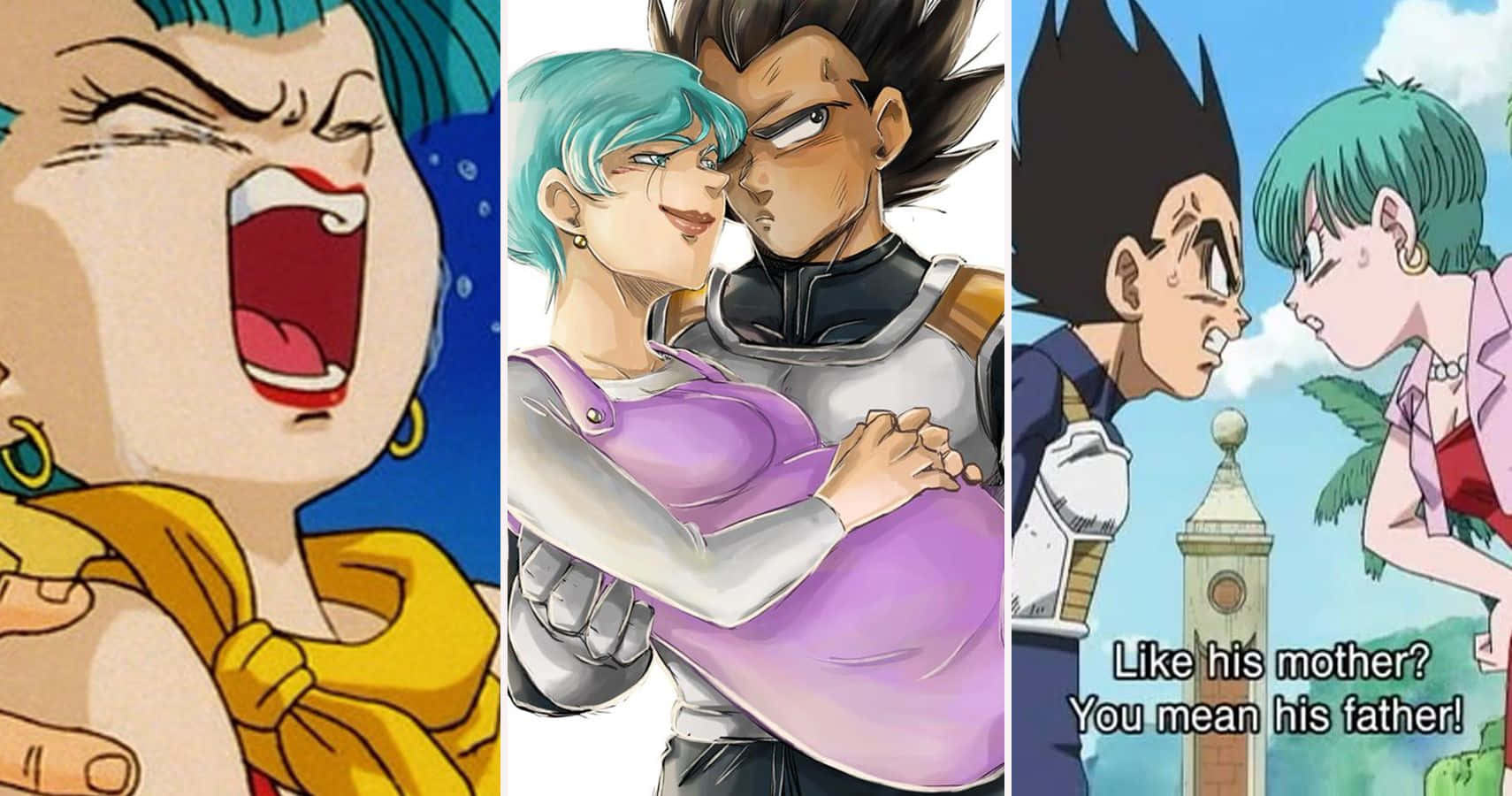 Vegeta's Family 桌布 壁紙 — 三個動畫面板展示了角色在表達情感時刻：在鐘樓附近大喊、擁抱和爭吵。