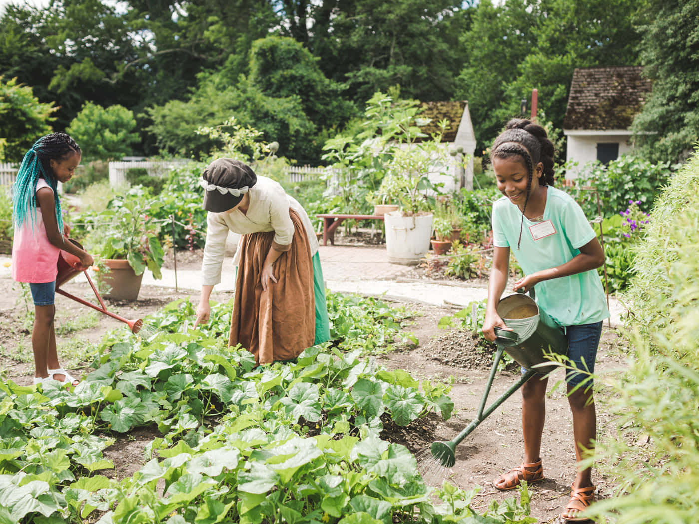 Gardening 桌布 壁紙 — 三個女孩喺陽光普照嘅後院花園入面，開心噉為茂盛嘅綠色植物淋水，周圍有樹同一個細小嘅棚仔。