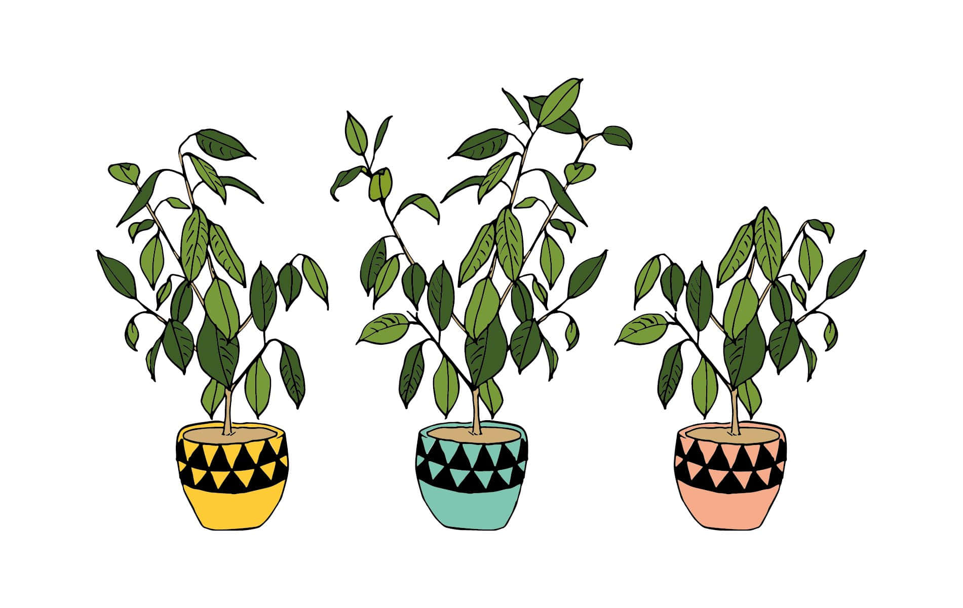 sage green aesthetic 桌布 壁紙 — 三個插圖盆栽植物，配有黃色、藍綠色和蜜桃色的幾何圖案花盆，背景為白色。