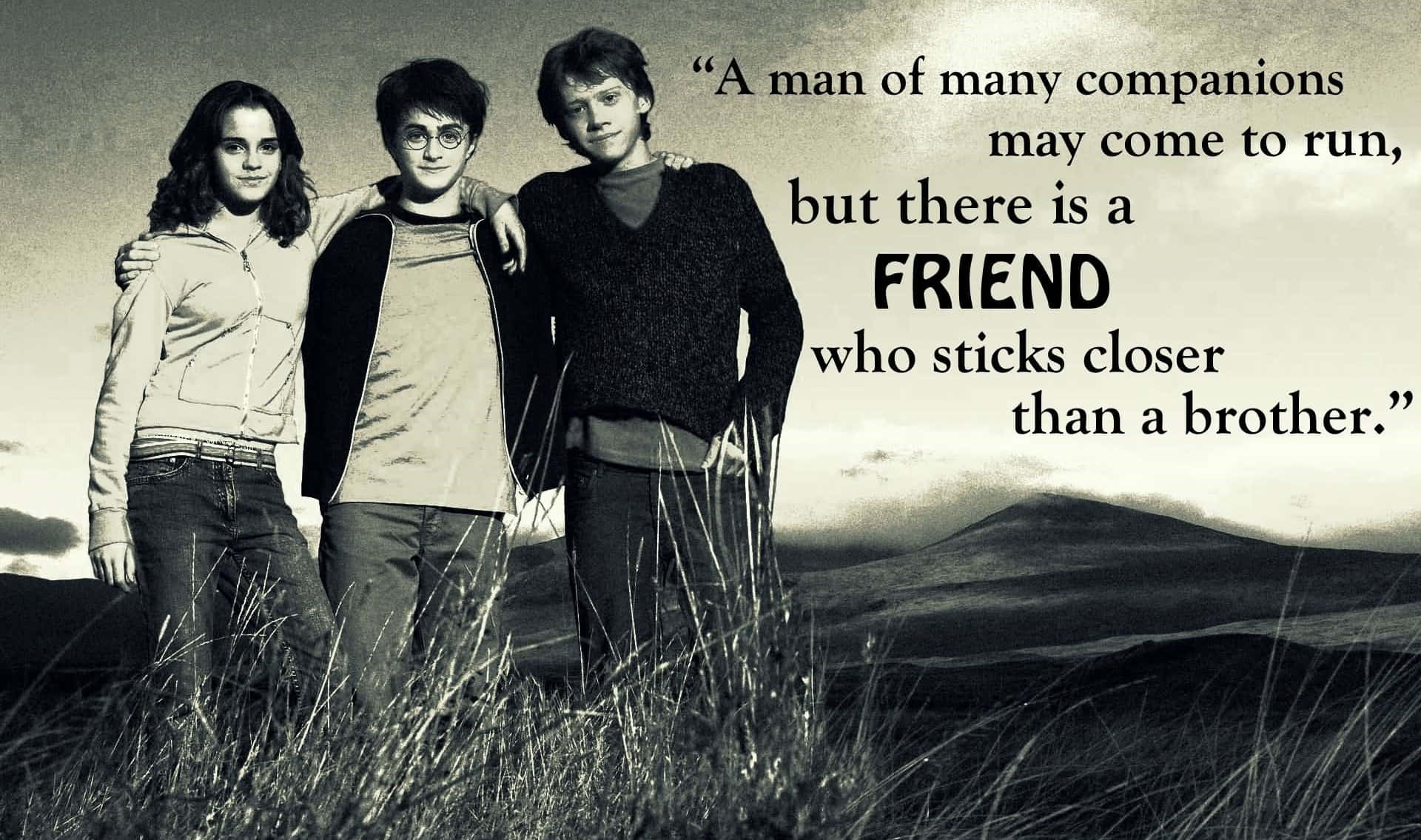 Harry Potter Quotes 桌布 壁紙 — 三個朋友一起站在高高的草叢中，背景是朦朧的天空，上面疊加了一句關於真正友誼的名言。
