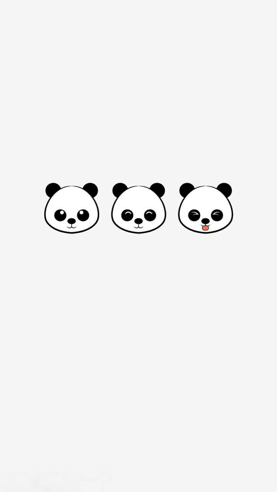 Kawaii Panda 桌布 壁紙 — 三個極簡風格的熊貓面孔，表情各異，置於純淺灰色背景上。