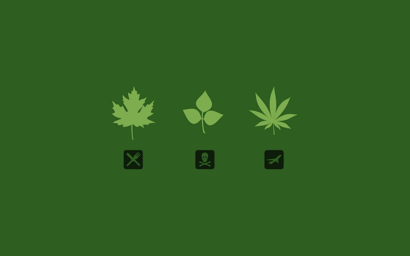 大麻 桌布 壁紙 — 三個淺綠色葉子圖標在深綠色背景上，每個下方有一個黑色符號