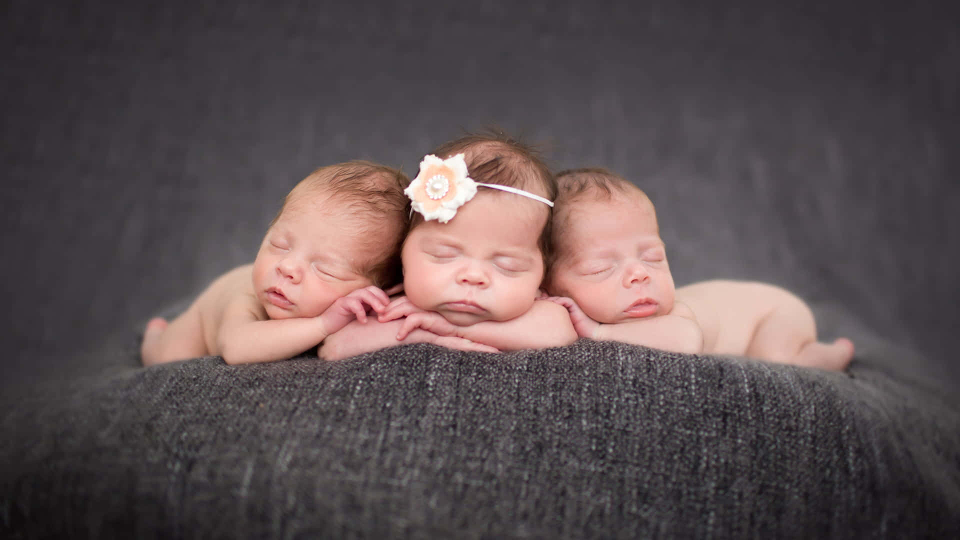 Cute Babies 桌布 壁紙 — 三個熟睡的新生雙胞胎在深灰色紋理毯子上安詳休息，其中一個戴著白色花卉頭帶。