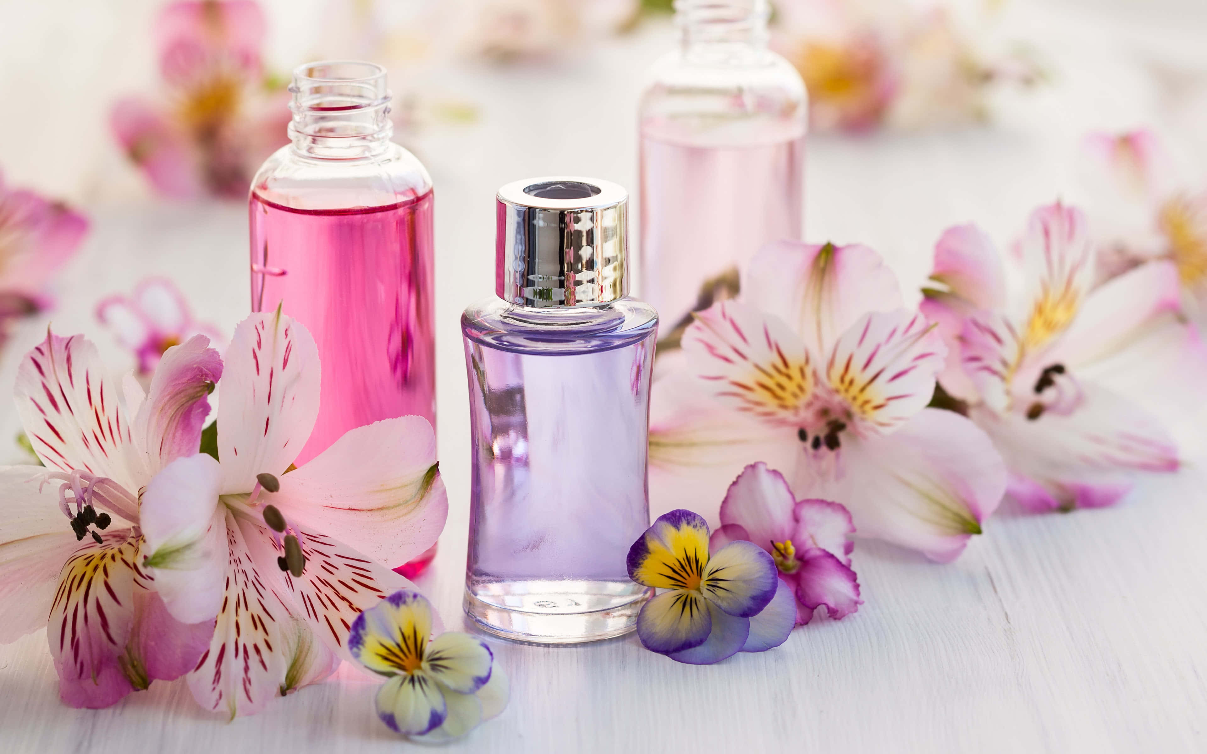 Floral Fragrance 桌布 壁紙 — 三個玻璃瓶裝滿粉紅色和紫色液體，周圍環繞著新鮮的粉紅色和紫色花朵，放在白色木質表面上。