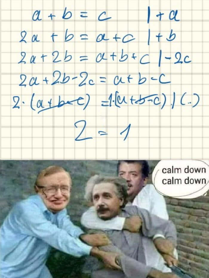 Learning Memes 桌布 壁紙 — 三個男人按住愛因斯坦，方格紙上的數學方程式錯誤地證明2等於1，並附有「冷靜點」的對話氣泡。