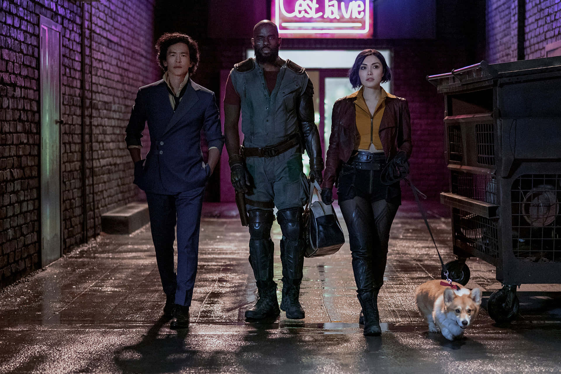 Cowboy Bebop Ein 桌布 壁紙 — 三個穿著時尚的人和一隻哥基犬在夜晚自信地走在一條被霓虹燈照亮的濕漉漉的小巷中。