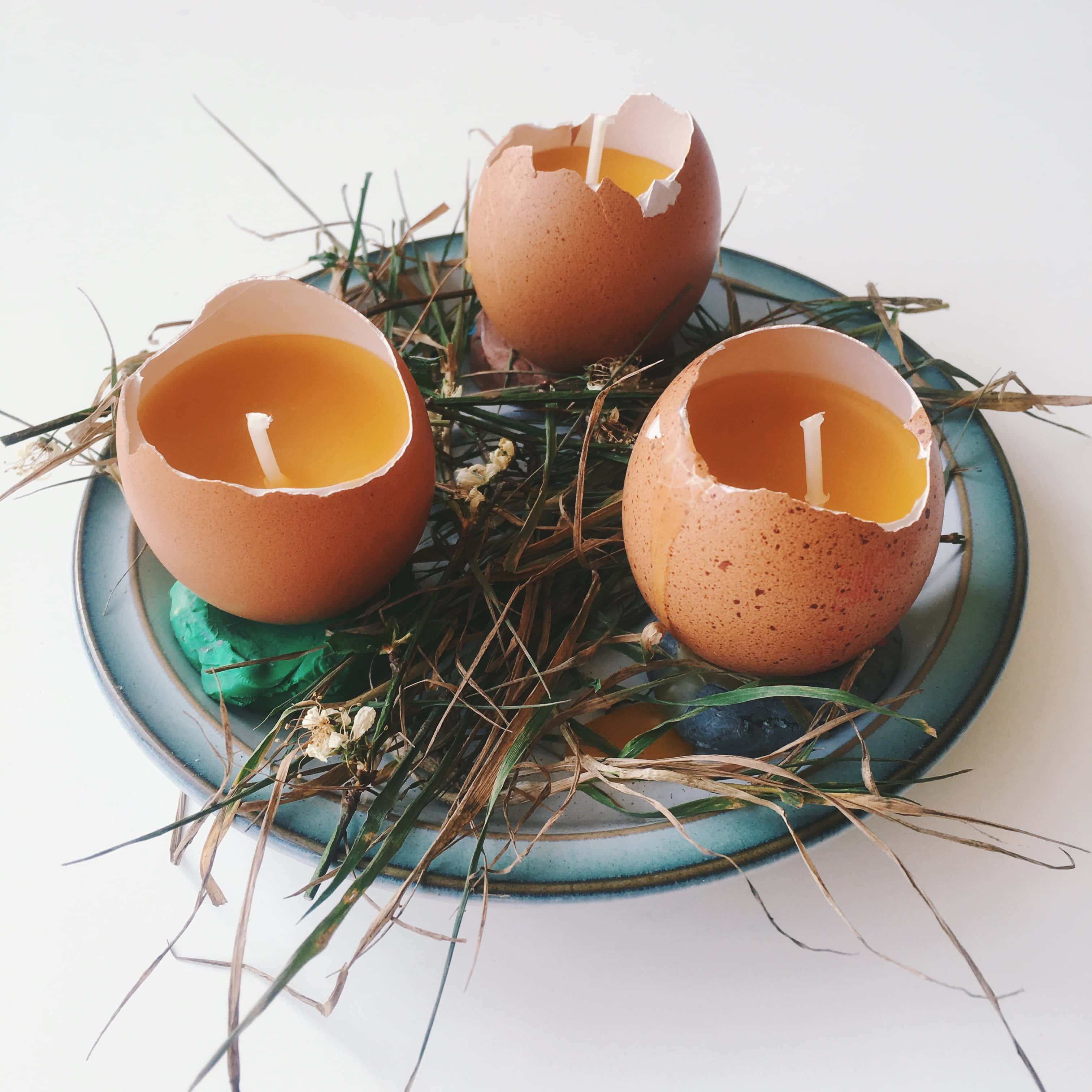 Eggshell 桌布 壁紙 — 三個蛋殼蠟燭藏在藍色碟上的草叢中，柔和自然光線。