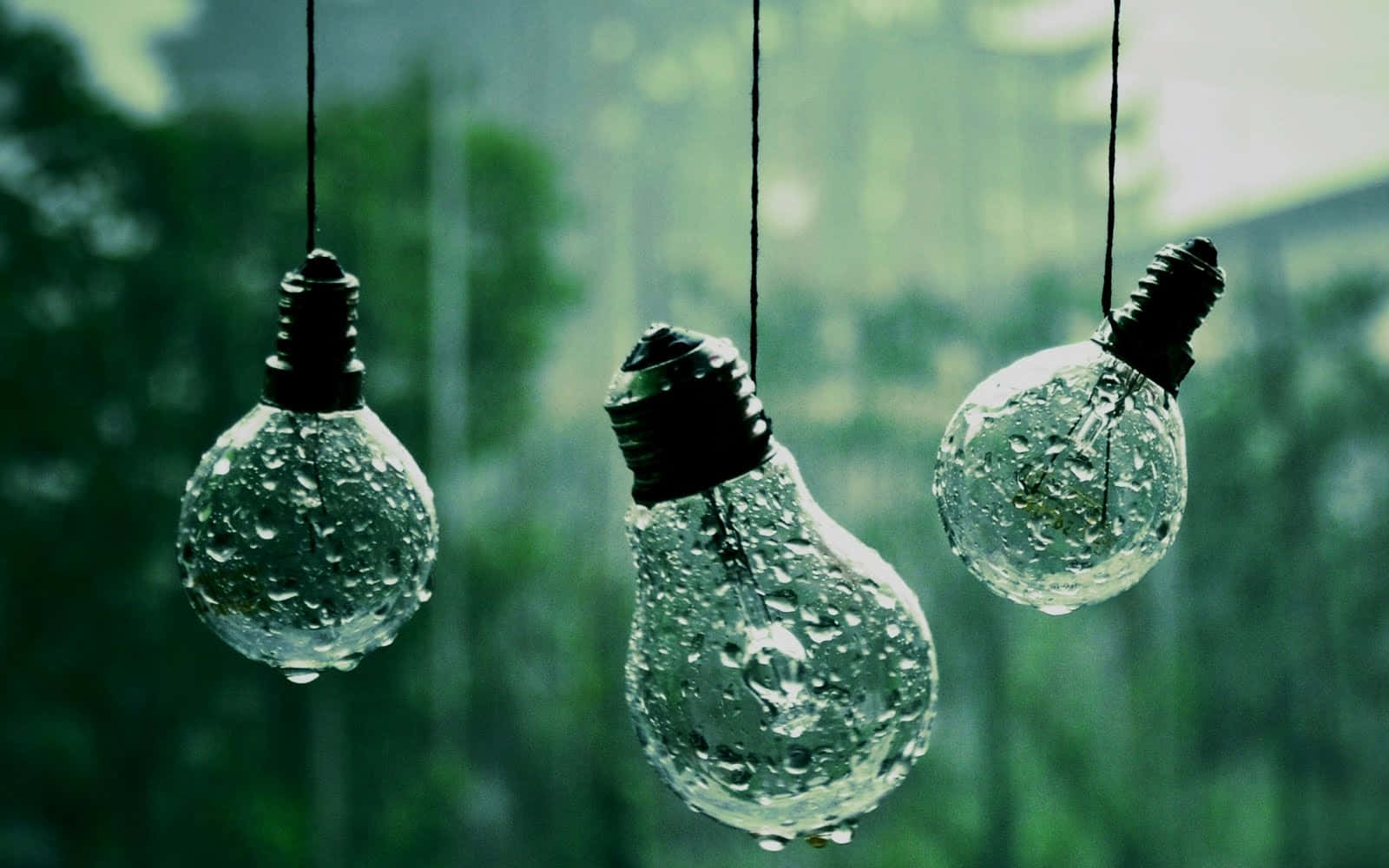 Rainy 桌布 壁紙 — 三個被雨水浸透的玻璃燈泡懸掛在模糊的綠色森林背景前。