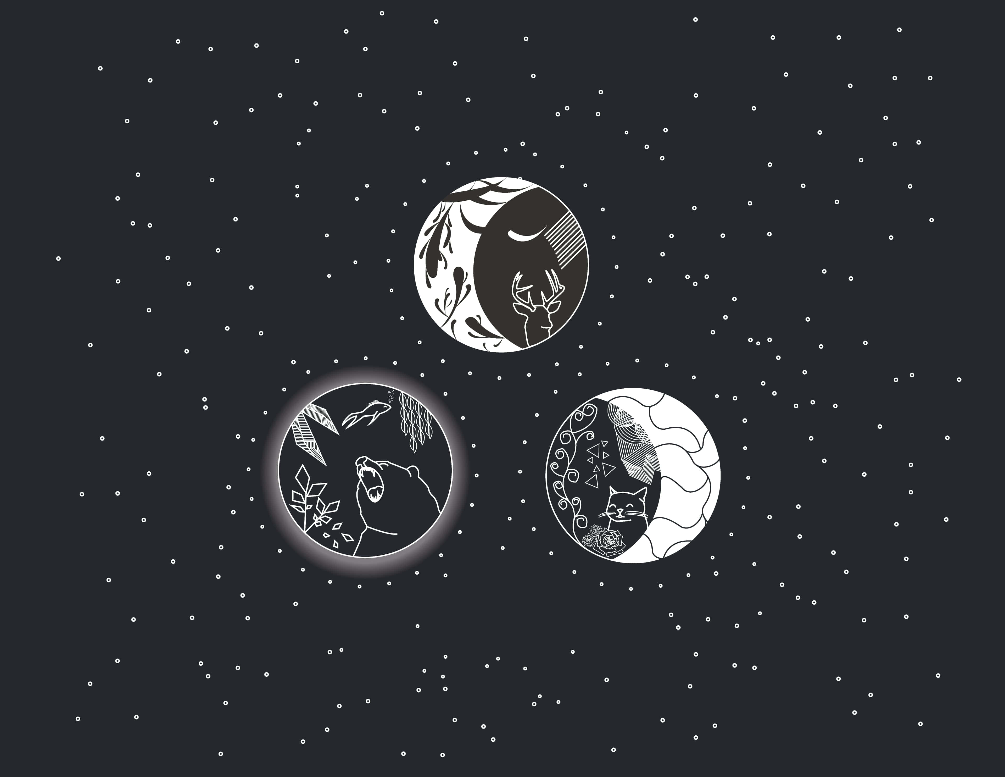 Black And White Star 桌布 壁紙 — 三個風格化的月亮，每個月亮都抱著不同的動物，背景是單色的星空夜空。
