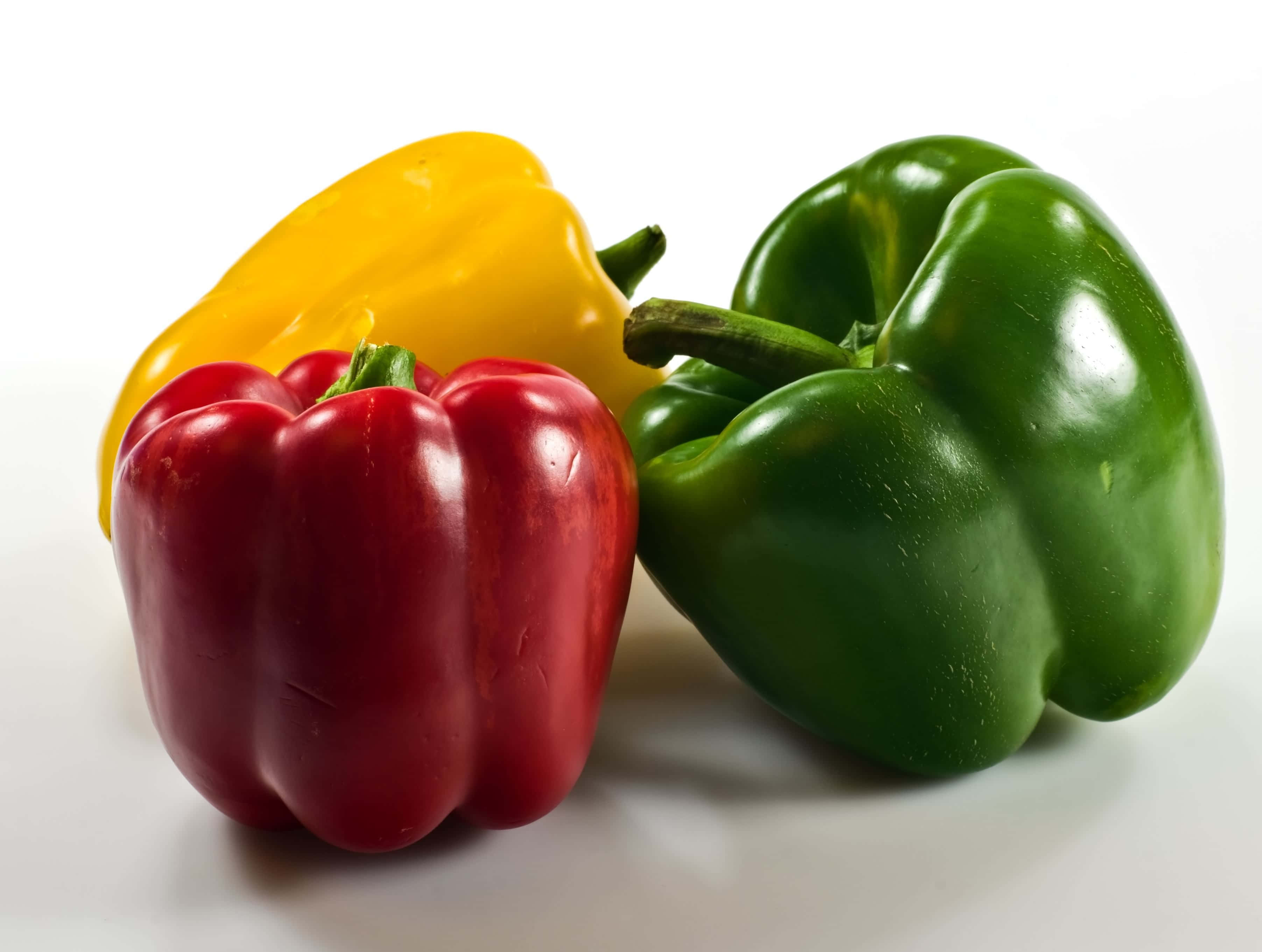 Vegetable 桌布 壁紙 — 三個鮮豔的燈籠椒，紅色、黃色和綠色，整齊排列在潔白的表面上，帶有柔和陰影。
