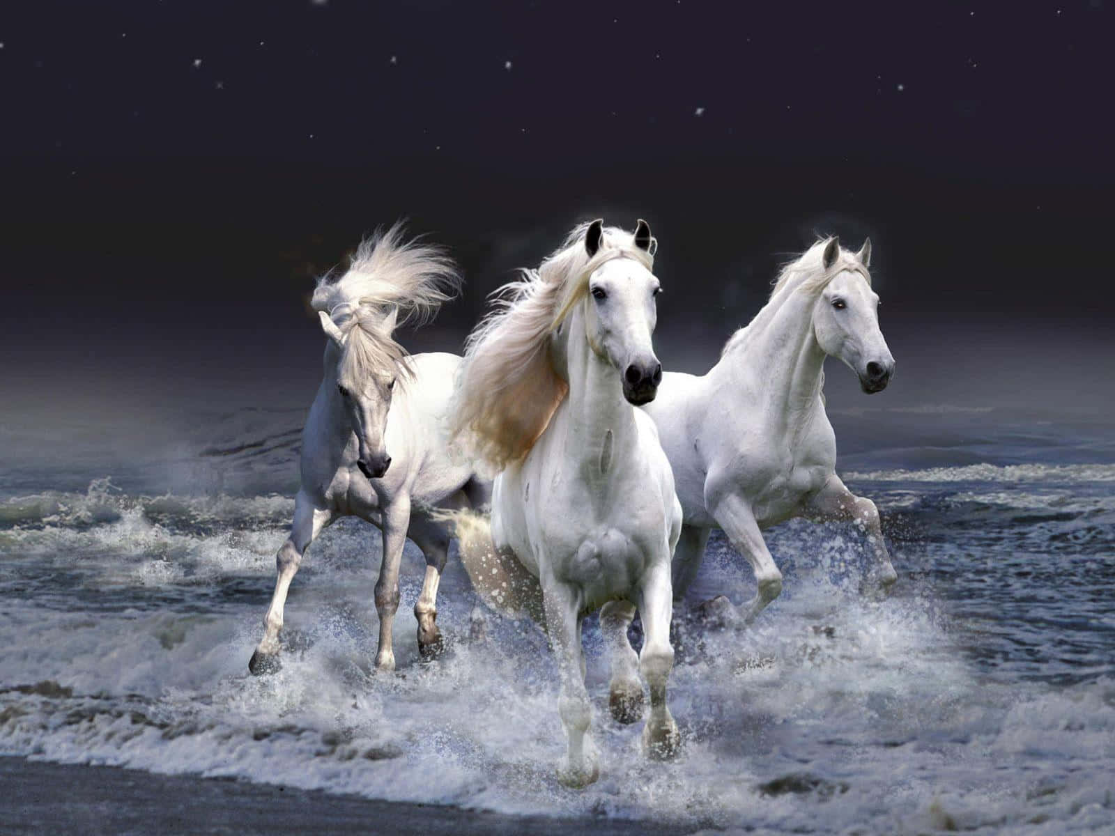 White Horse 桌布 壁紙 — 三匹雄偉的白馬在繁星點點的夜空下，強而有力地奔騰在泡沫翻騰的海浪中。
