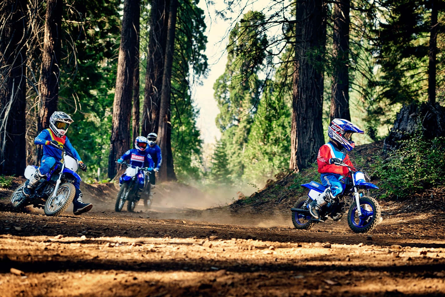 Dirtbike 桌布 壁紙 — 三名年輕越野電單車手在陽光明媚的森林小徑上奔馳，藍色越野車揚起塵土。