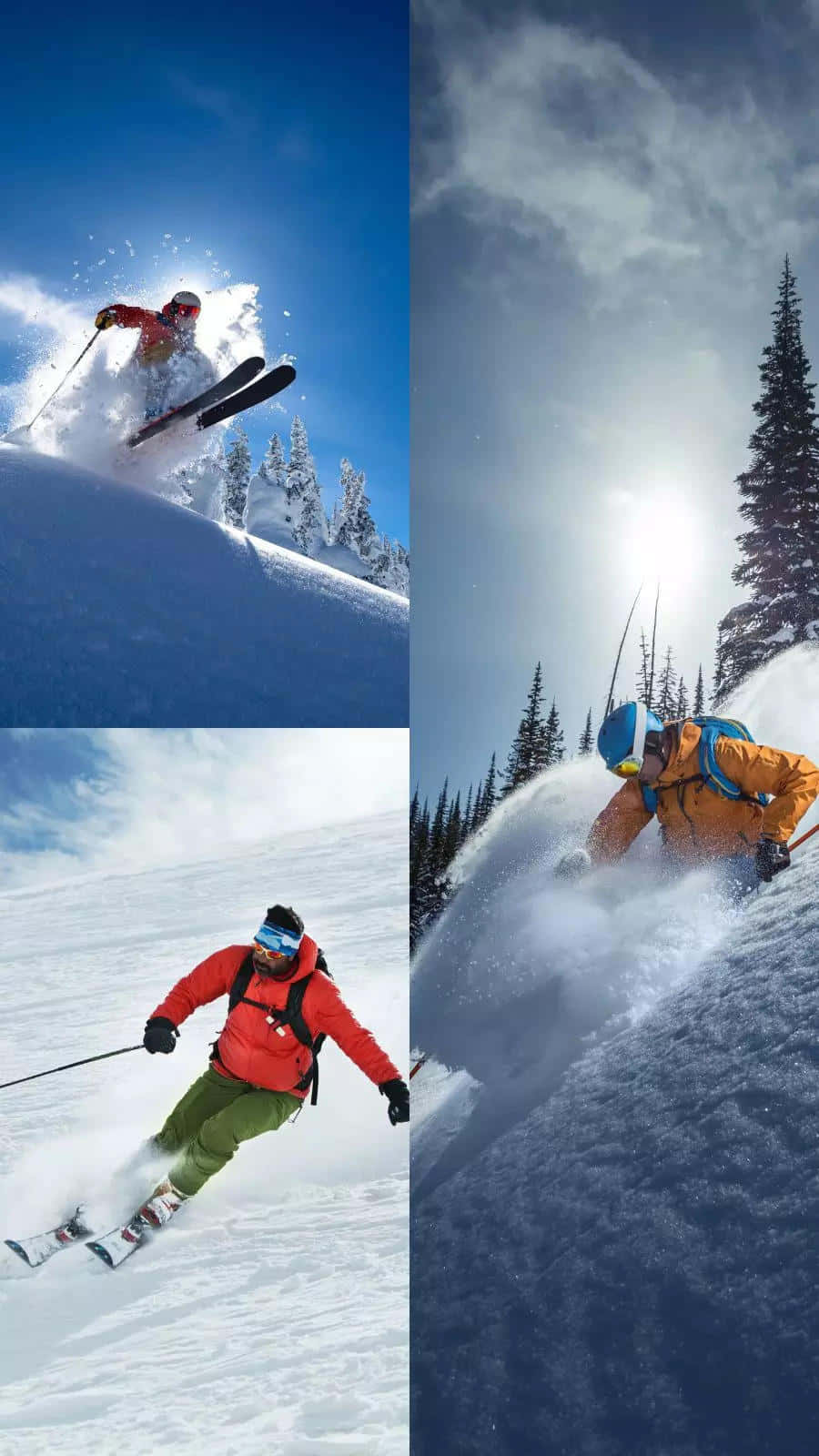 Skiing 桌布 壁紙 — 三名滑雪者在松樹林立的明亮藍天下，在積雪的山坡上劃過新鮮的粉雪。