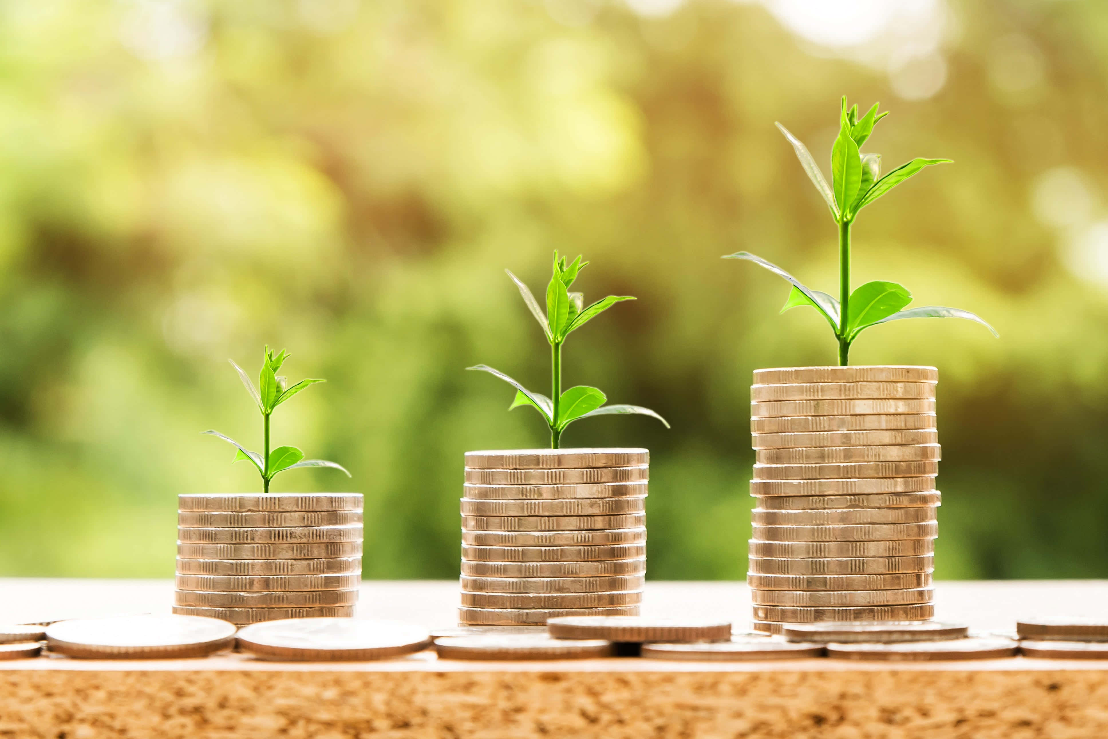 Green Economy 桌布 壁紙 — 三堆硬幣在柔和模糊的自然背景前長得更高，並長出發芽的綠色植物，象徵著財務增長。