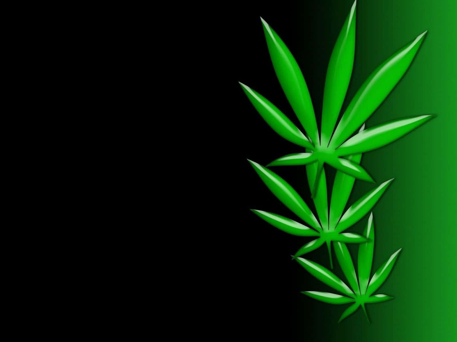 Weed Leaf 桌布 壁紙 — 三塊光澤的綠色大麻葉漂浮在黑色到綠色的漸變背景上。