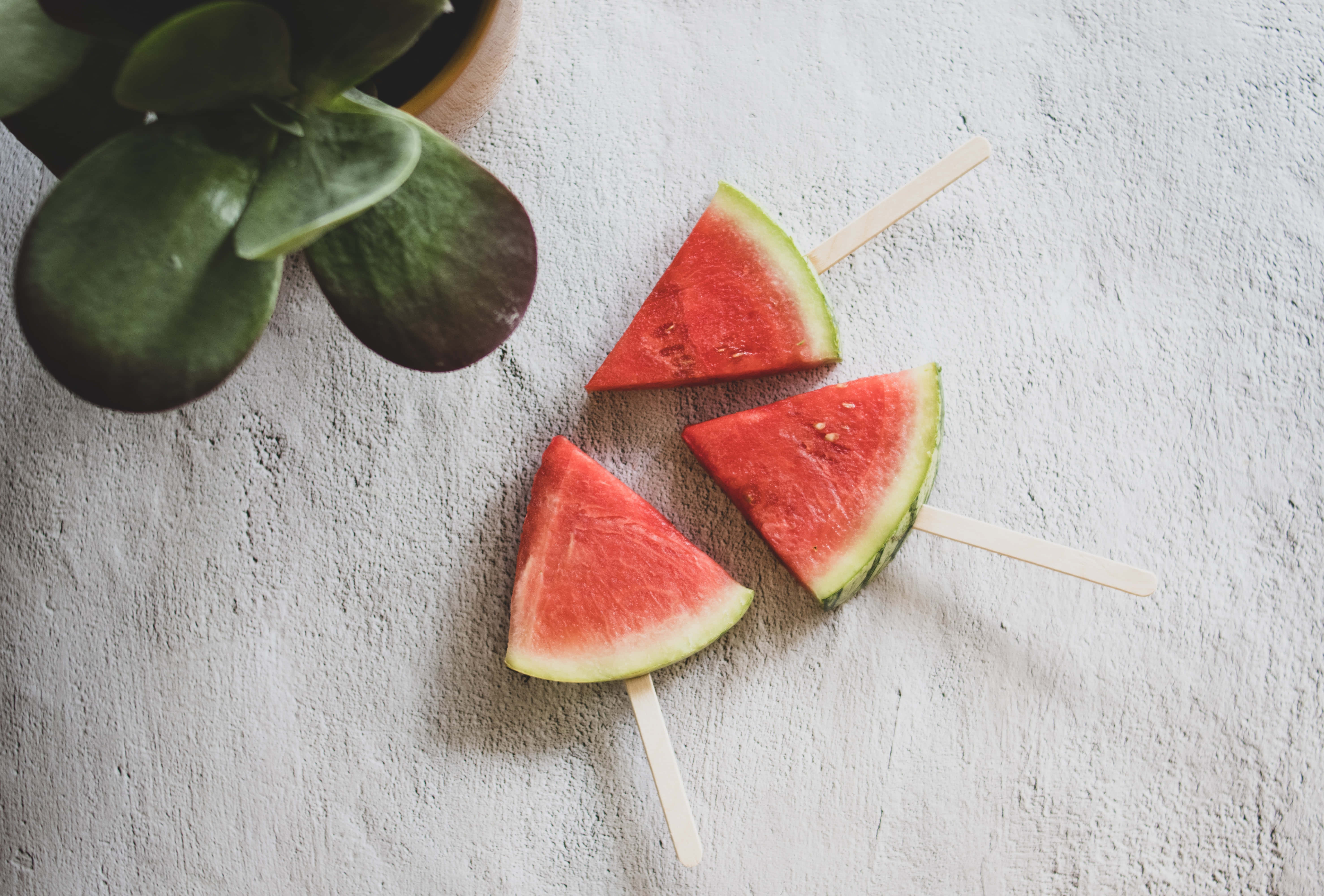 Summer Fruits 桌布 壁紙 — 三塊西瓜片串在竹籤上，排列在一個盆栽多肉植物旁邊，置於有紋理的白色表面上。