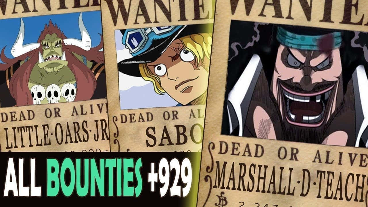wanted 桌布 壁紙 — 三張《One Piece》角色小奧茲Jr、薩波和馬歇爾·D·汀奇的動畫懸賞海報，帶有粗體文字和骷髏圖案。