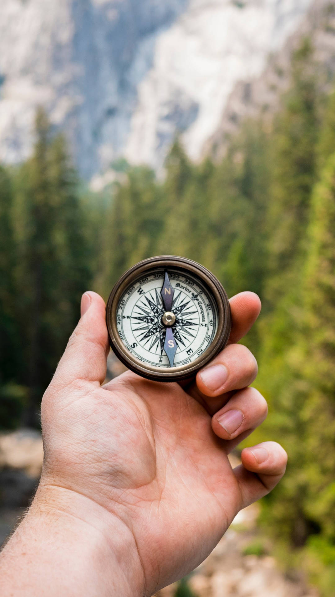 手在山上森林中拿著指南針
