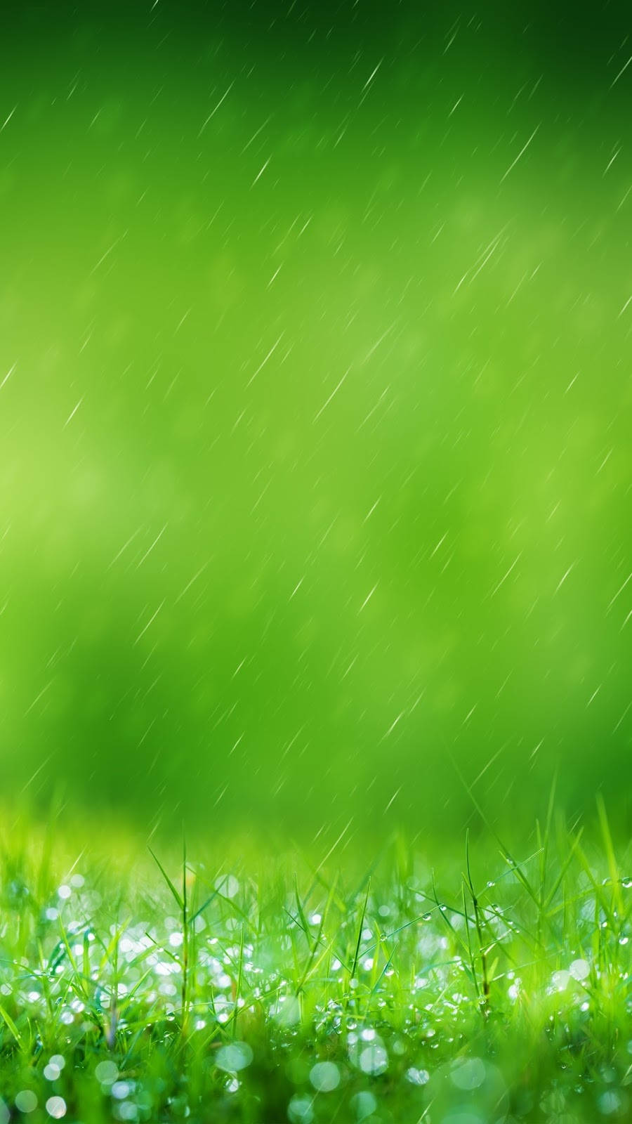 帶有雨滴和柔和散景背景的綠草
