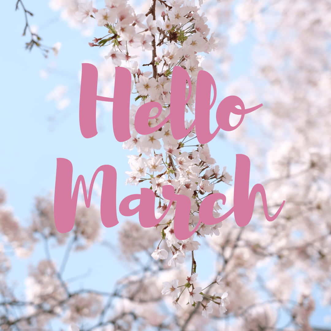 三月你好櫻花樹 壁紙 — 粉紅色草書文字「Hello March」覆蓋在盛開的櫻花上，背景是柔和的藍天。