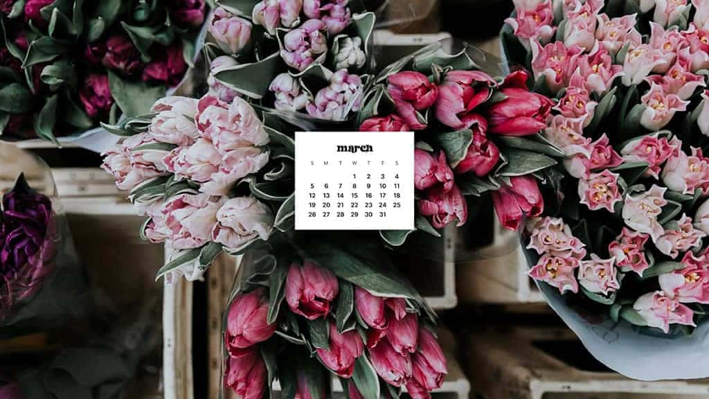 March Desktop 桌布 壁紙 — 三月日曆漂浮在充滿活力的粉紅色和洋紅色鬱金香花束中，置於質樸的木箱場景中。