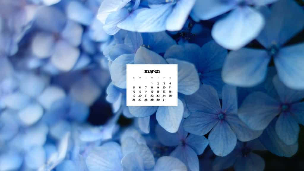 March Desktop 桌布 壁紙 — 三月日曆漂浮在柔焦的藍色繡球花田上，帶有溫和的散景。