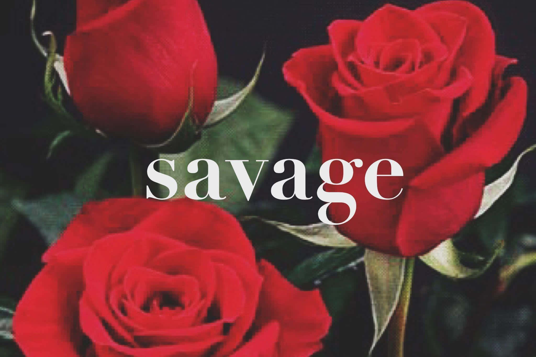savage 桌布 壁紙 — 三朵鮮豔的紅玫瑰在深色背景下盛開，並帶有白色文字的savage字樣。