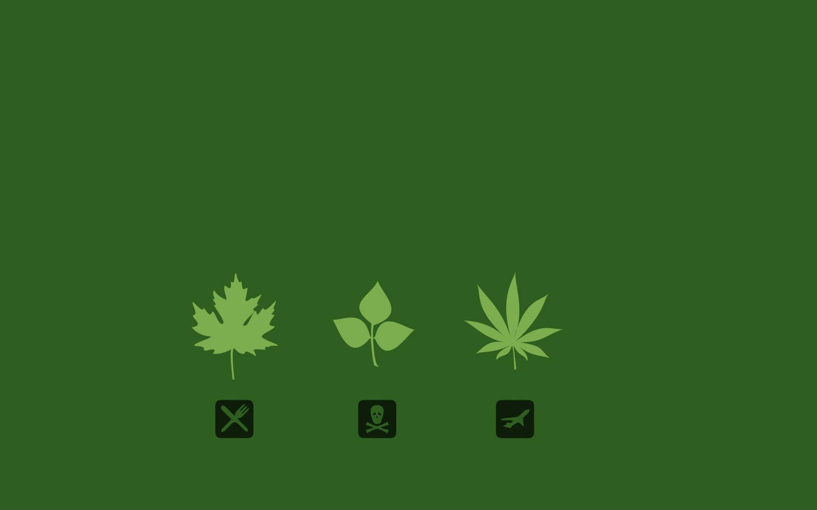 綠色背景上三個風格化葉子圖標，下方有符號