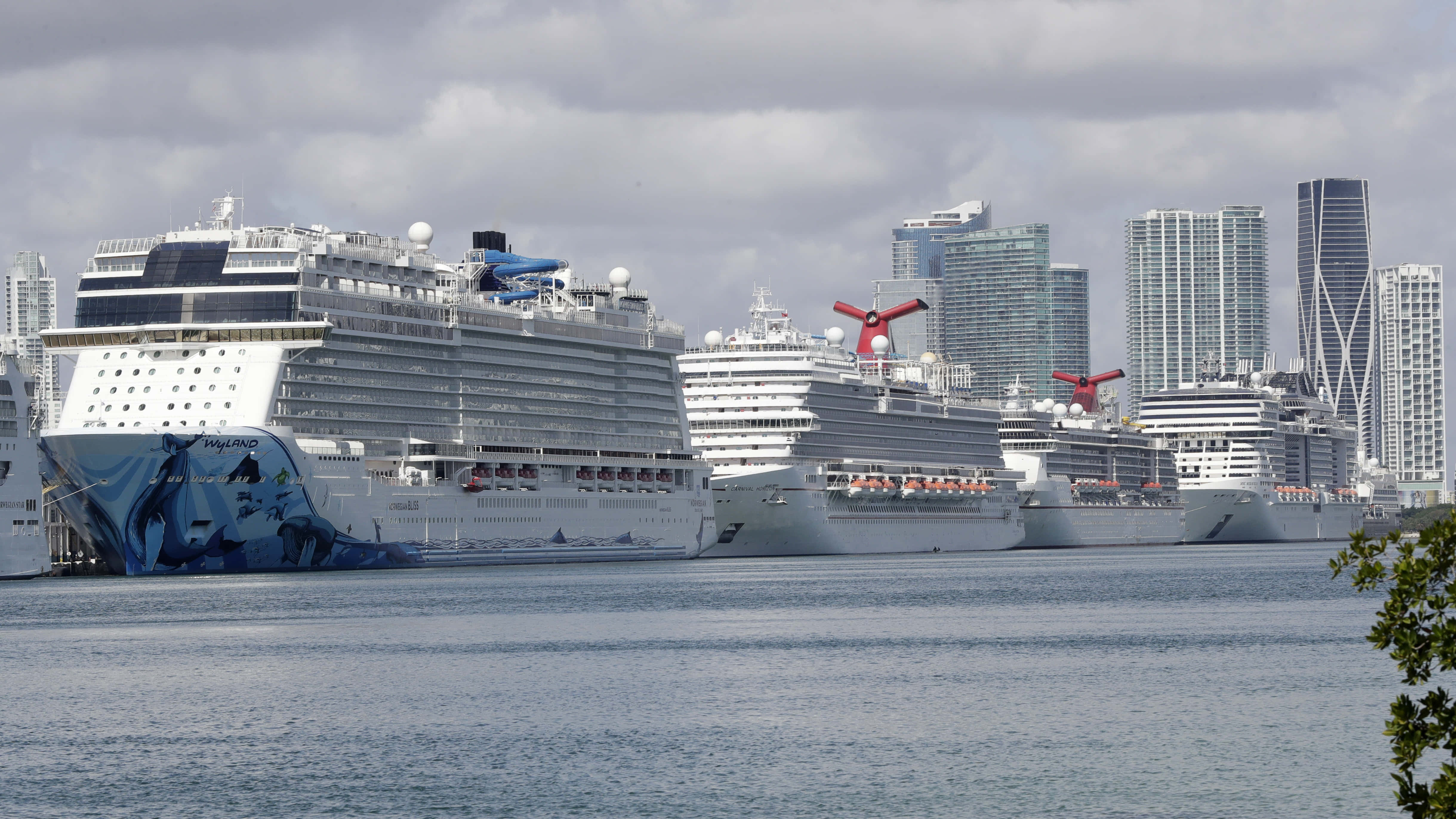 Cruise Ship 桌布 壁紙 — 三艘大型郵輪停泊在港口，背後有現代摩天大樓在陰天天空下聳立。
