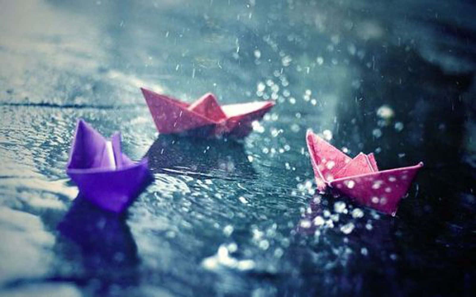 Rainy 桌布 壁紙 — 三艘色彩繽紛的紙船輕輕漂浮在雨水浸濕的水面上，周圍閃爍著水滴。