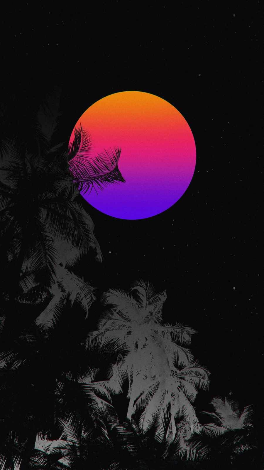 棕櫚樹剪影映襯著繁星點點夜空中色彩繽紛的漸變日落。