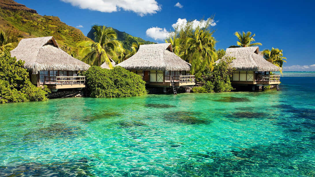 Jamaican Beach 桌布 壁紙 — 三間茅草屋頂的水上平房漂浮在清澈碧綠的海水上，周圍環繞著茂密的綠色棕櫚樹和山脈，天空湛藍明亮。