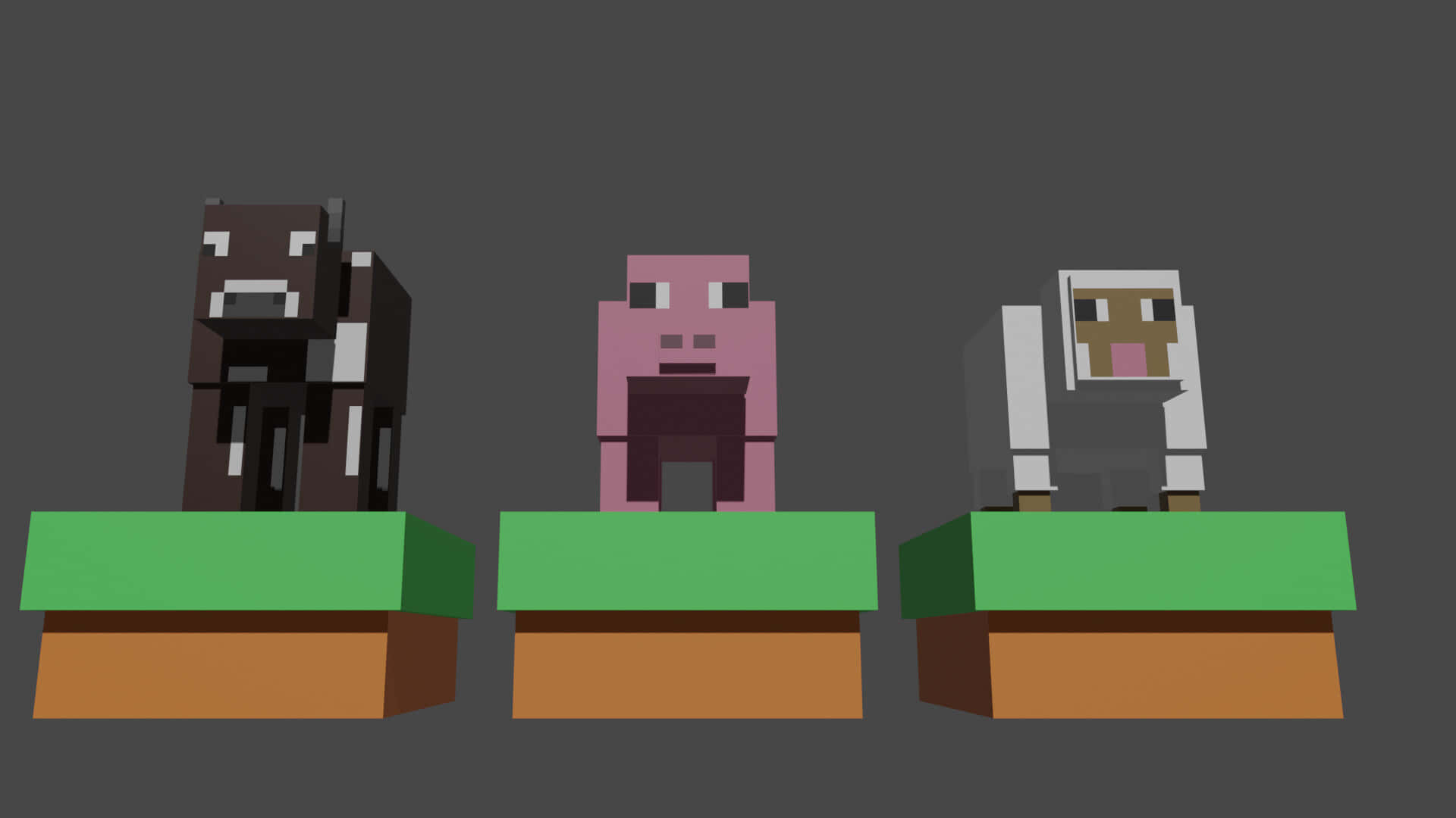 Minecraft Sheep 桌布 壁紙 — 三隻像素化的Minecraft動物站在草方塊上，背景為深灰色。