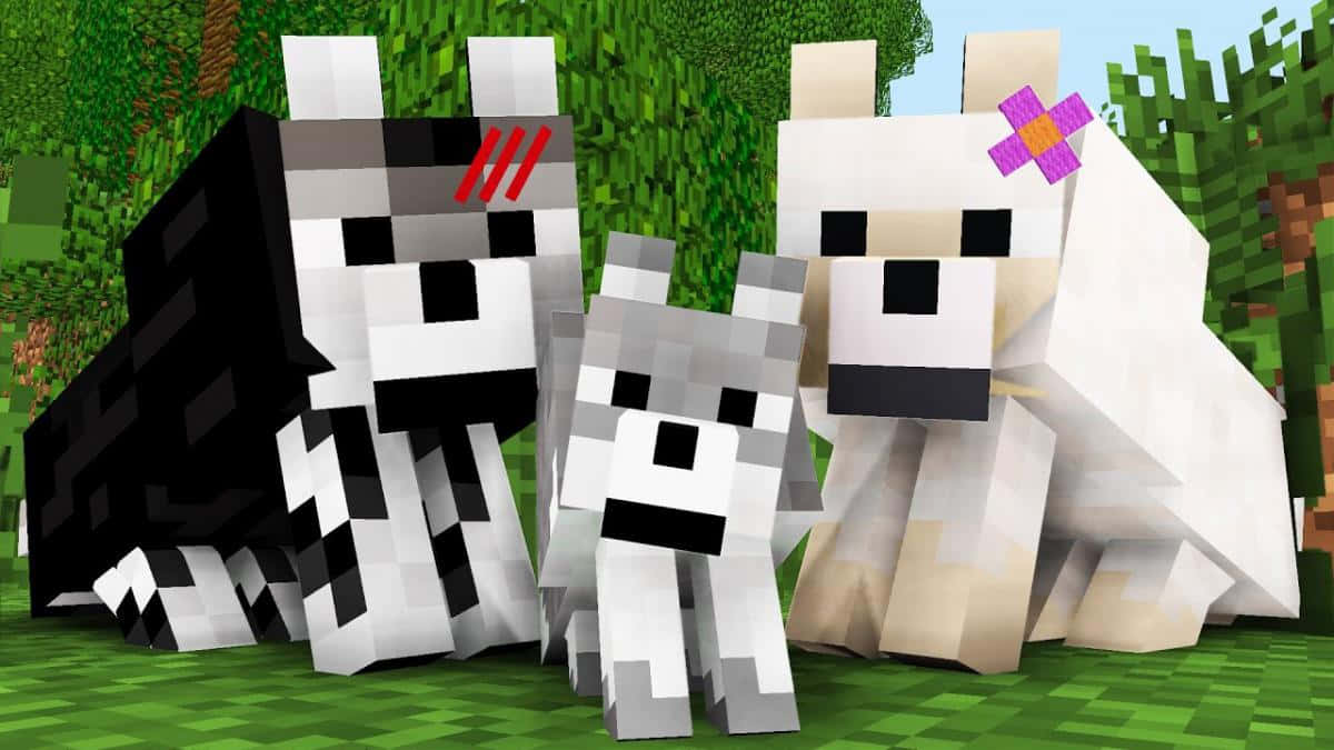Minecraft Pets 桌布 壁紙 — 三隻像素化的Minecraft狗，帶有獨特的標記和配件，一起站在明亮的天空下的草地上。