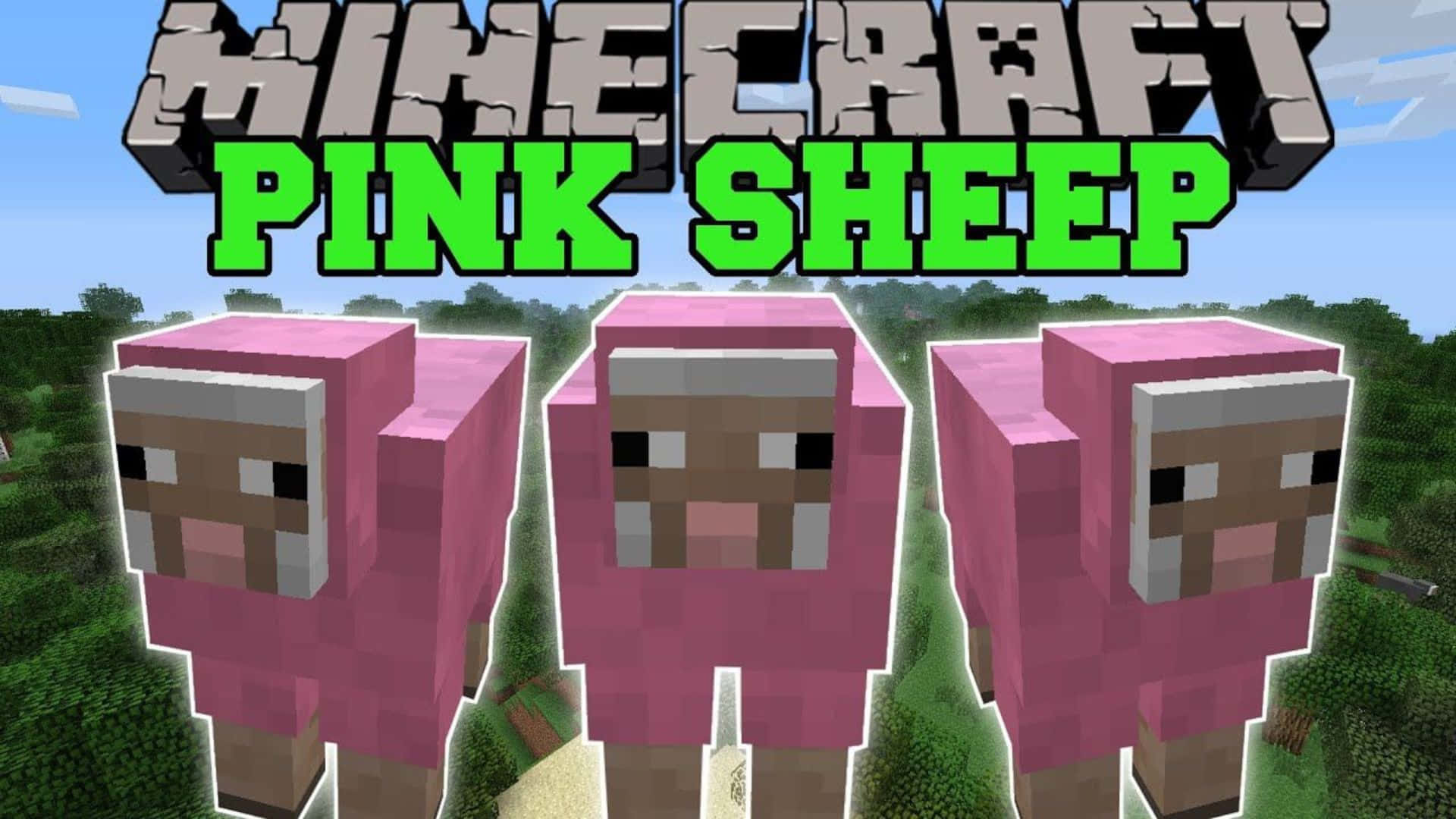 Minecraft Sheep 桌布 壁紙 — 三隻像素化的粉紅色羊站在草地Minecraft景觀中，藍天下方有遊戲標題文字。