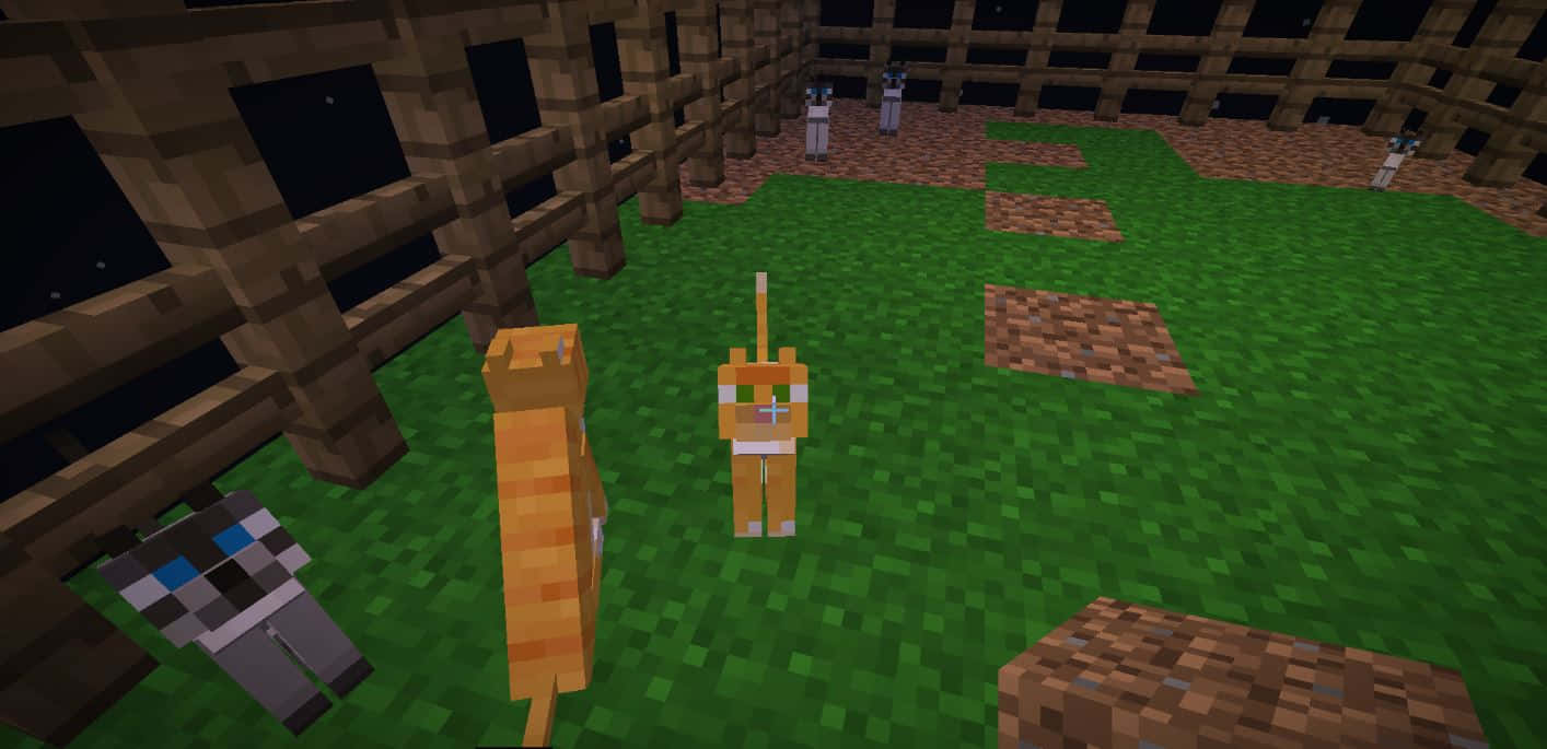 Minecraft Pets 桌布 壁紙 — 三隻像素貓在Minecraft圍欄庭院中，星空下。