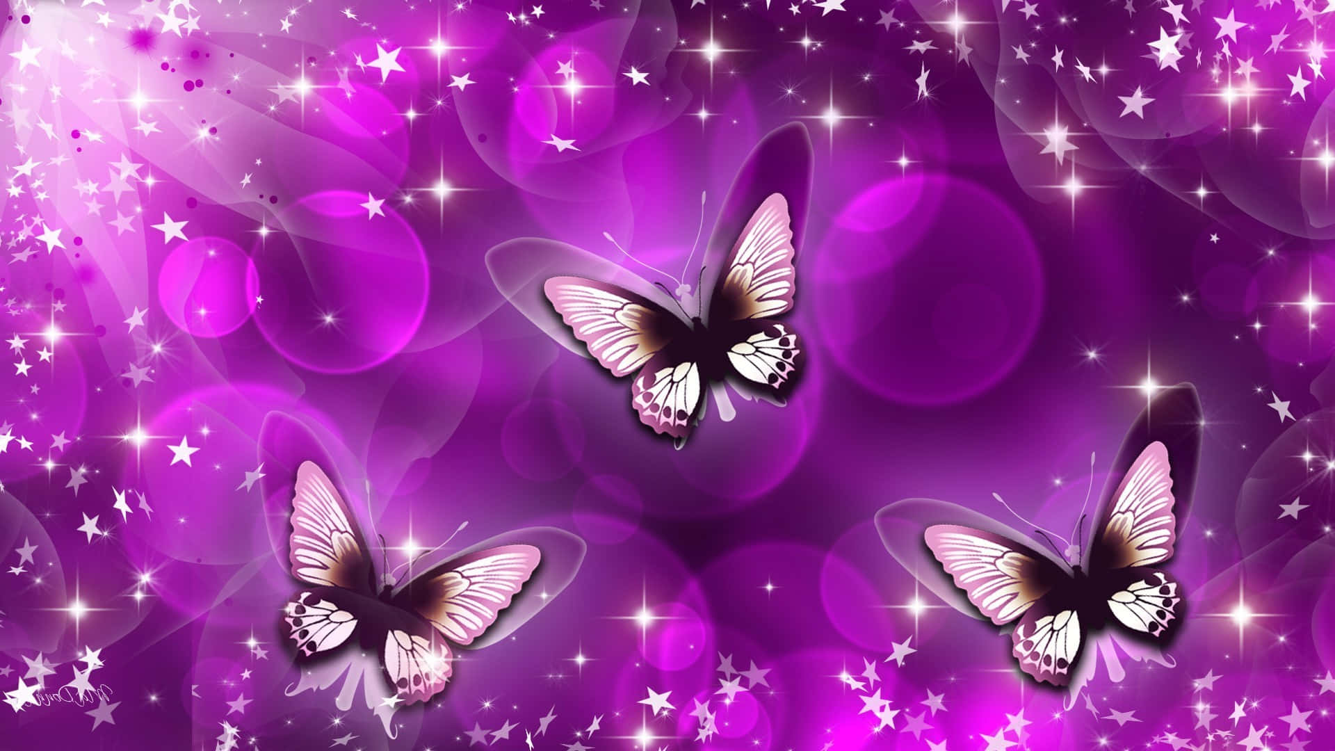 Butterfly Watching 桌布 壁紙 — 三隻優雅的蝴蝶，翅膀粉紅與黑色，在點綴著星星和散景燈光的閃爍紫色背景上優雅地飛舞。