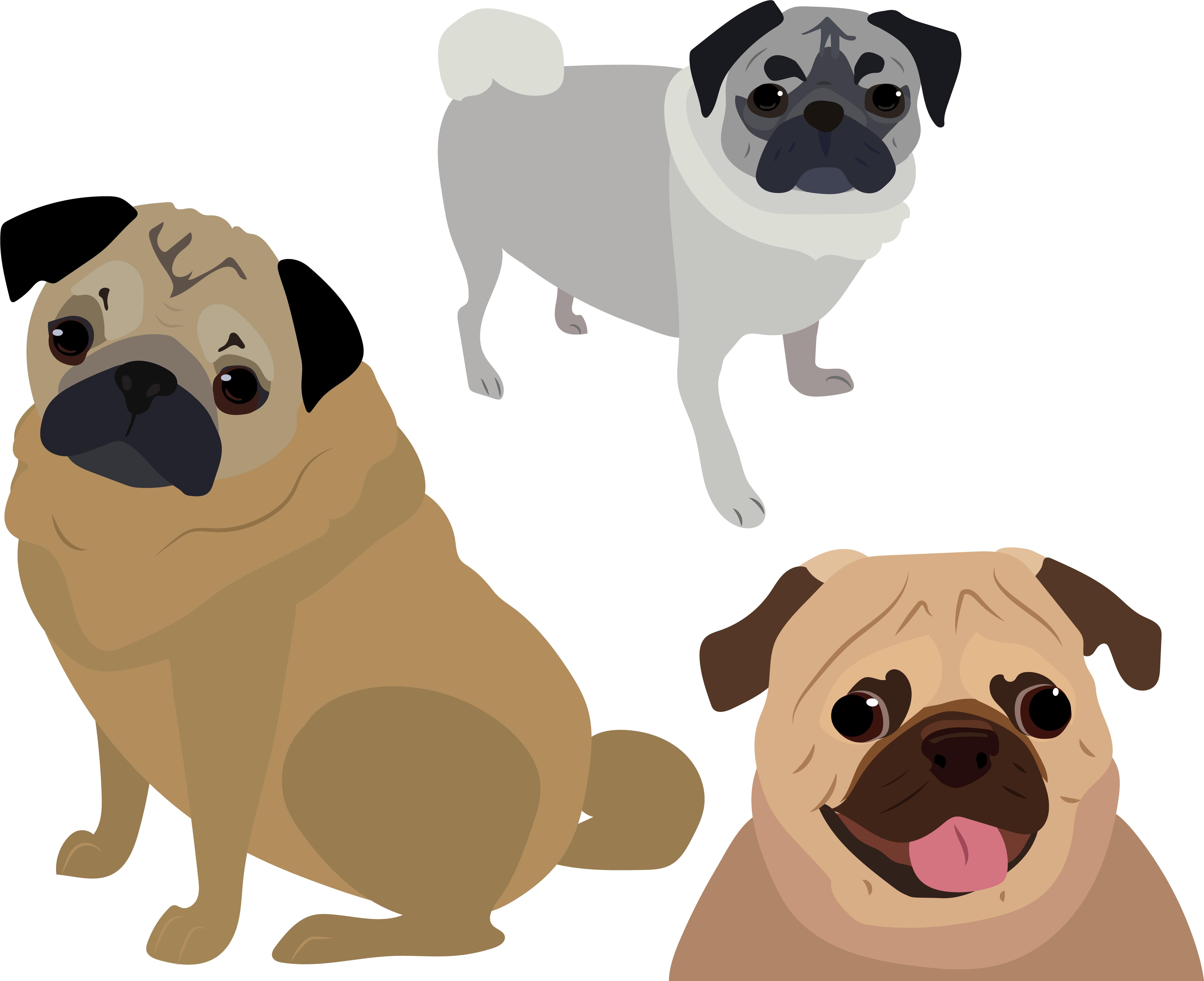 三隻卡通八哥犬插畫 壁紙