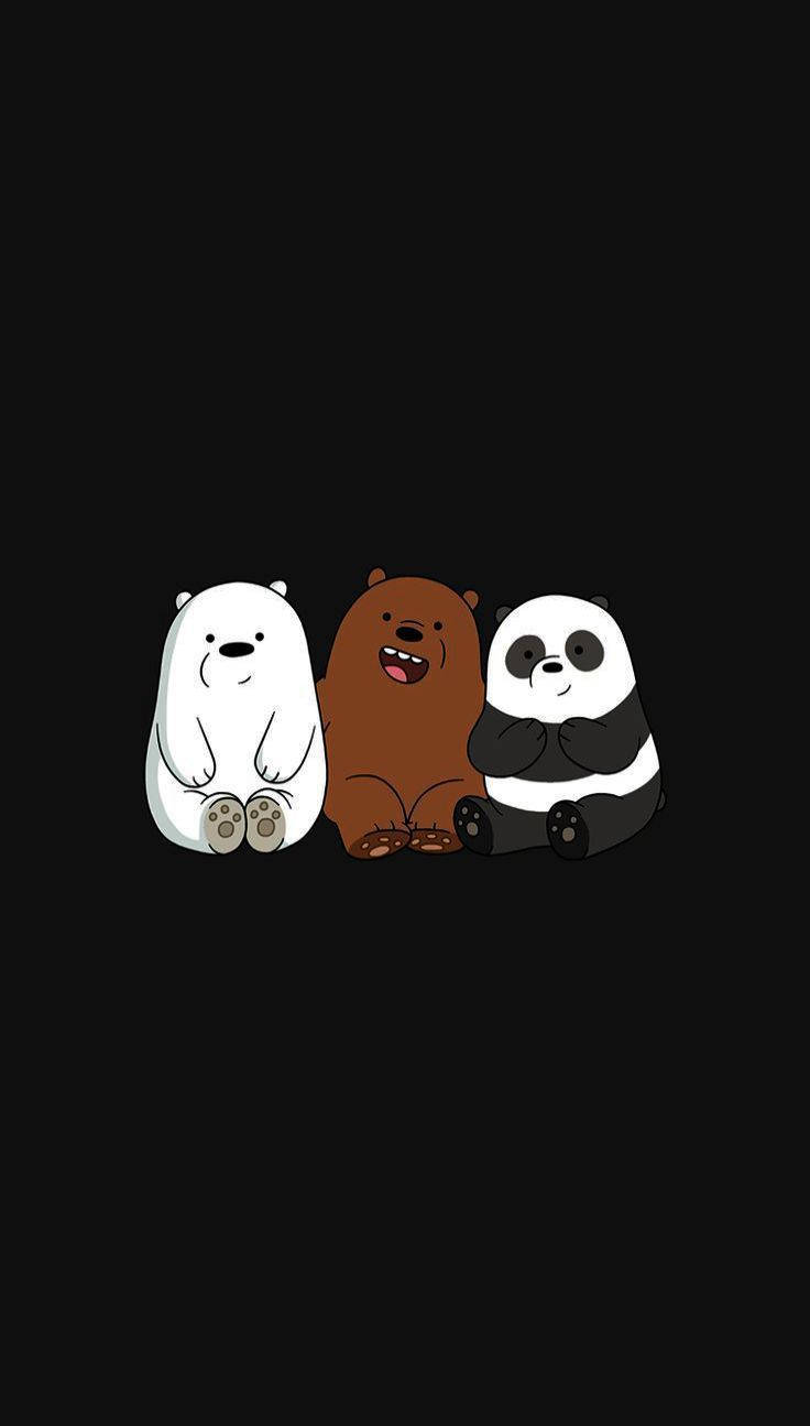 We Bare Bears 桌布 壁紙 — 三隻卡通熊並排坐在純黑色背景上，每隻都有不同的毛色和開心的表情。