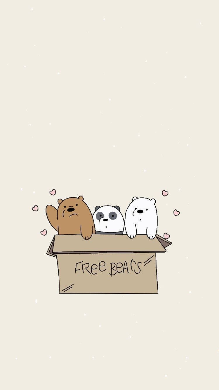 We Bare Bears 桌布 壁紙 — 三隻卡通熊從一個標有「免費熊」的紙箱中探出頭來，周圍漂浮著愛心。