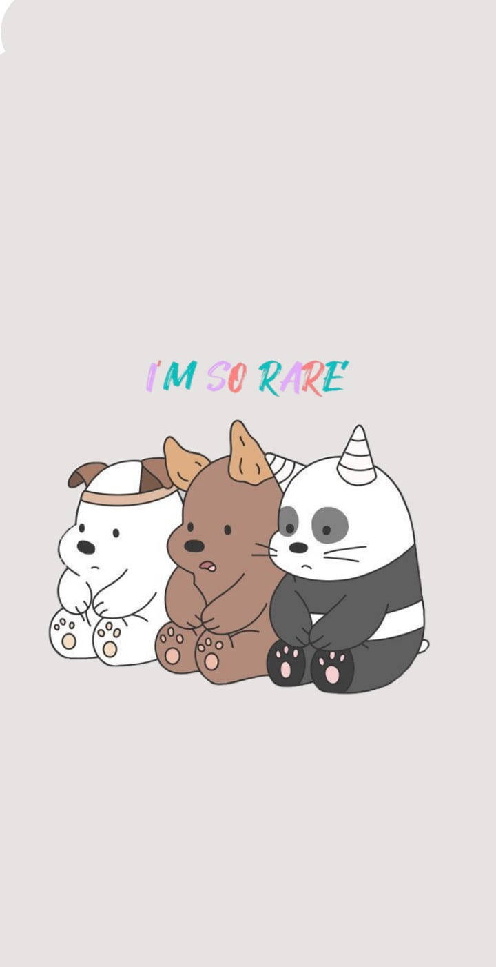 We Bare Bears 桌布 壁紙 — 三隻戴帽的可愛卡通動物坐在純色背景上，彩色文字寫著「I'M SO RARE」。