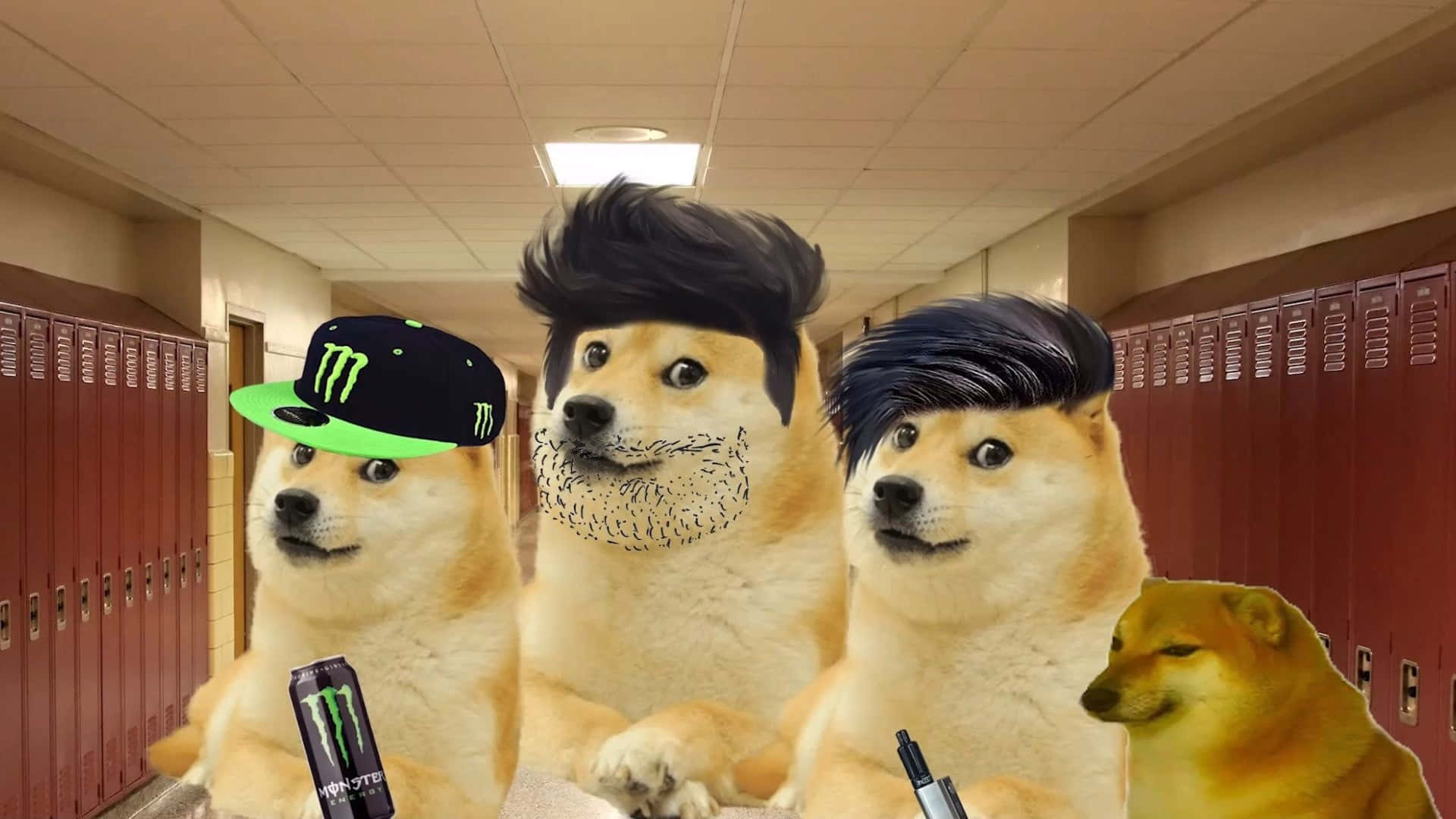 Dog Memes 桌布 壁紙 — 三隻擬人化的狗戴著假髮和一瓶Monster Energy飲料，在學校走廊的紅色儲物櫃前擺姿勢。
