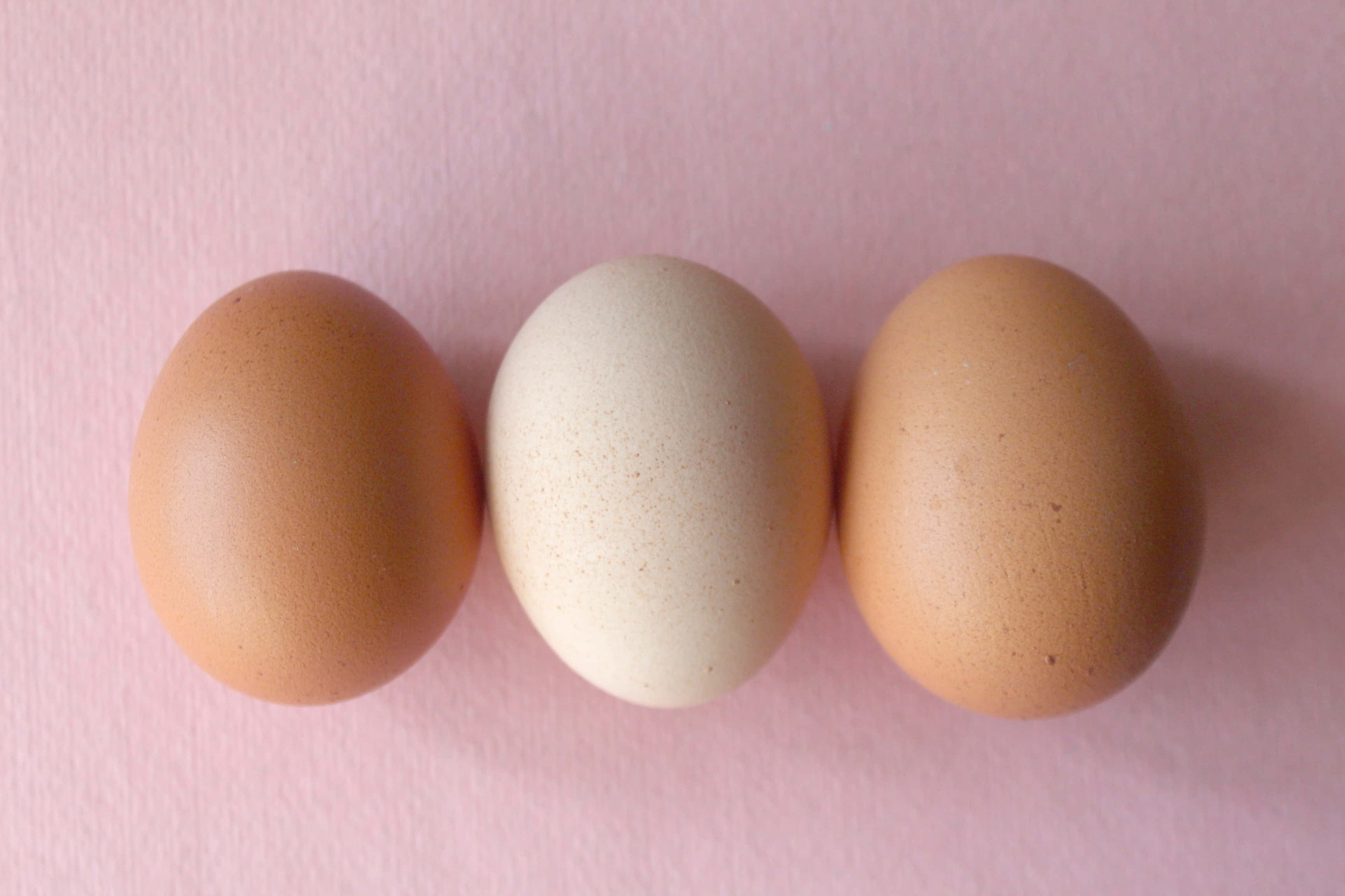 Brown Eggs 桌布 壁紙 — 三隻深淺不一的棕色和奶油色雞蛋整齊地排列在柔軟的粉紅色紋理表面上。