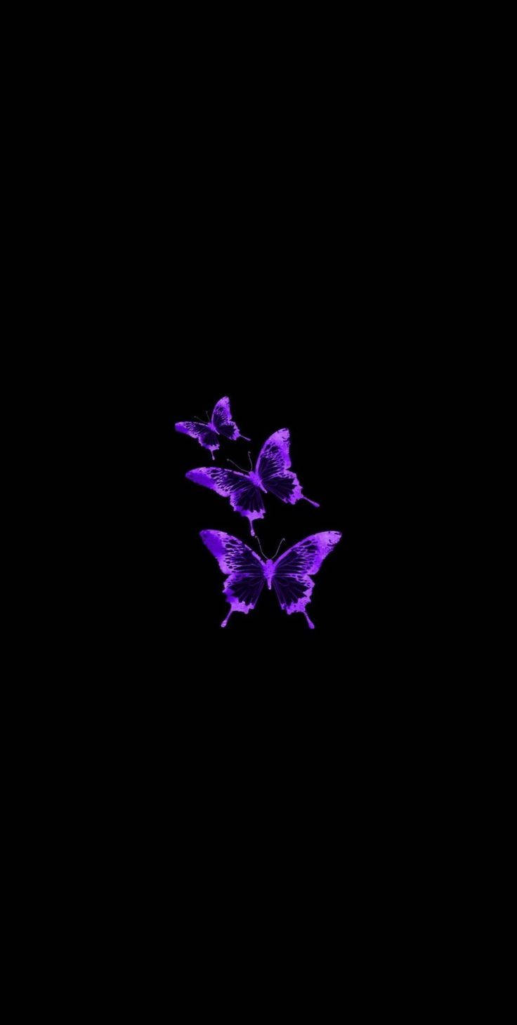 Black And Purple Phone 桌布 壁紙 — 三隻發光的紫色蝴蝶在純黑色背景上漂浮，構成極簡數位作品。