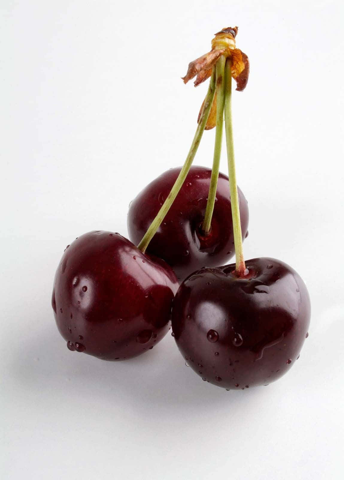 Black Cherry 桌布 壁紙 — 三顆帶有莖葉和水珠的光澤深紅色櫻桃，置於純白背景上。