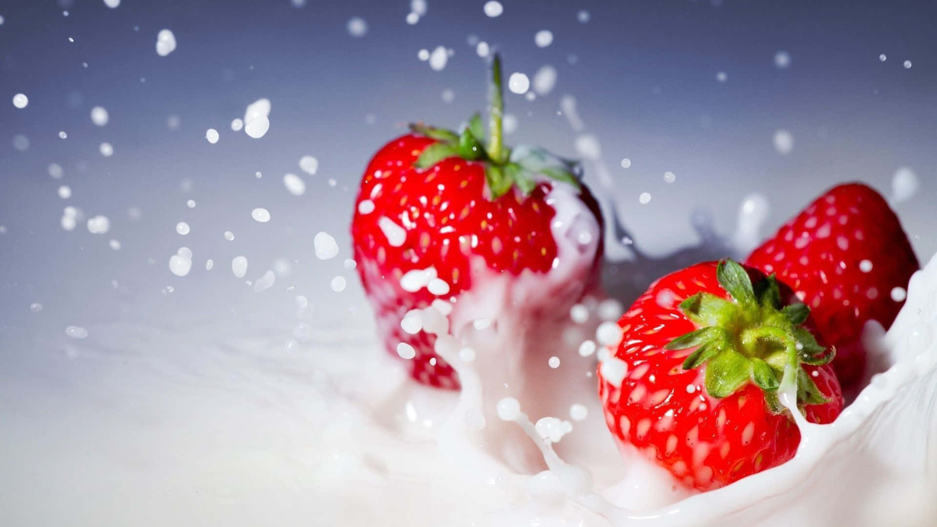Red Strawberry 桌布 壁紙 — 三顆成熟的草莓在清涼的漸變背景上衝破奶油般的牛奶飛濺。