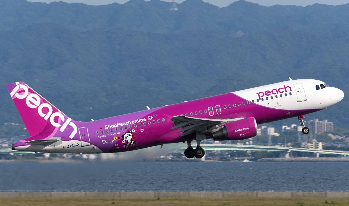Peach Airlines飛機在近水處降落，背後有山巒。