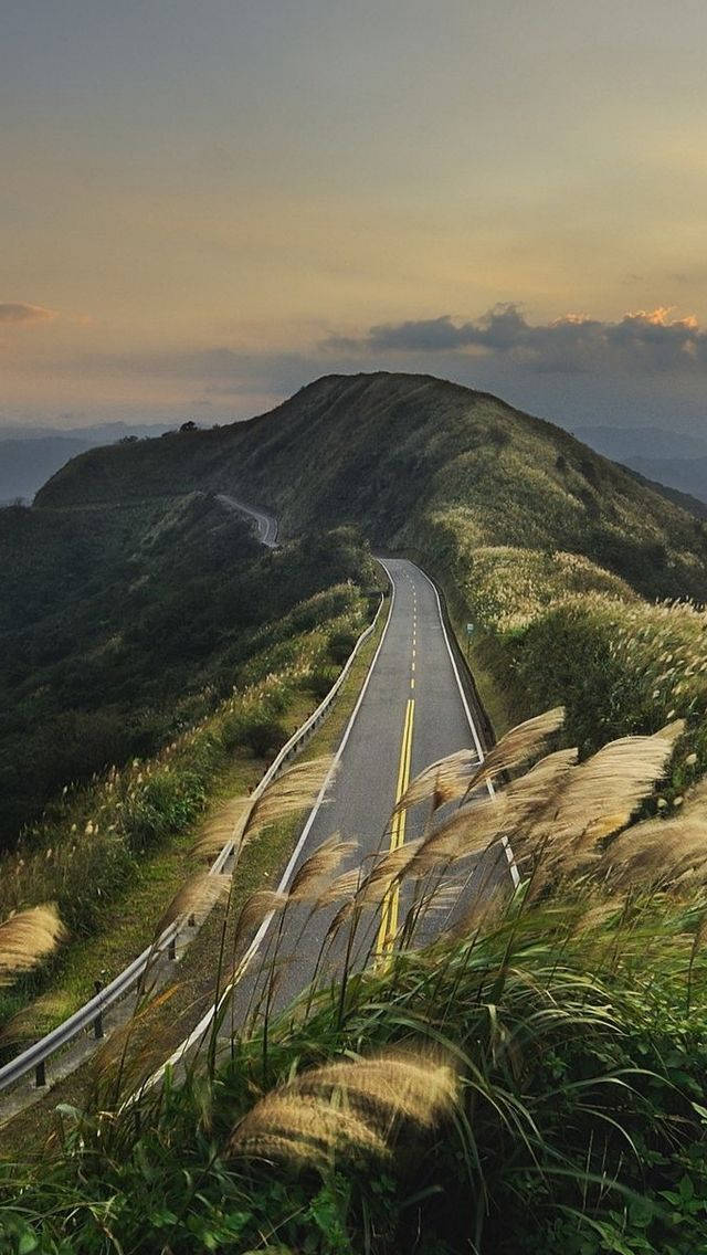 日落時分蜿蜒的山路穿過高高的草叢