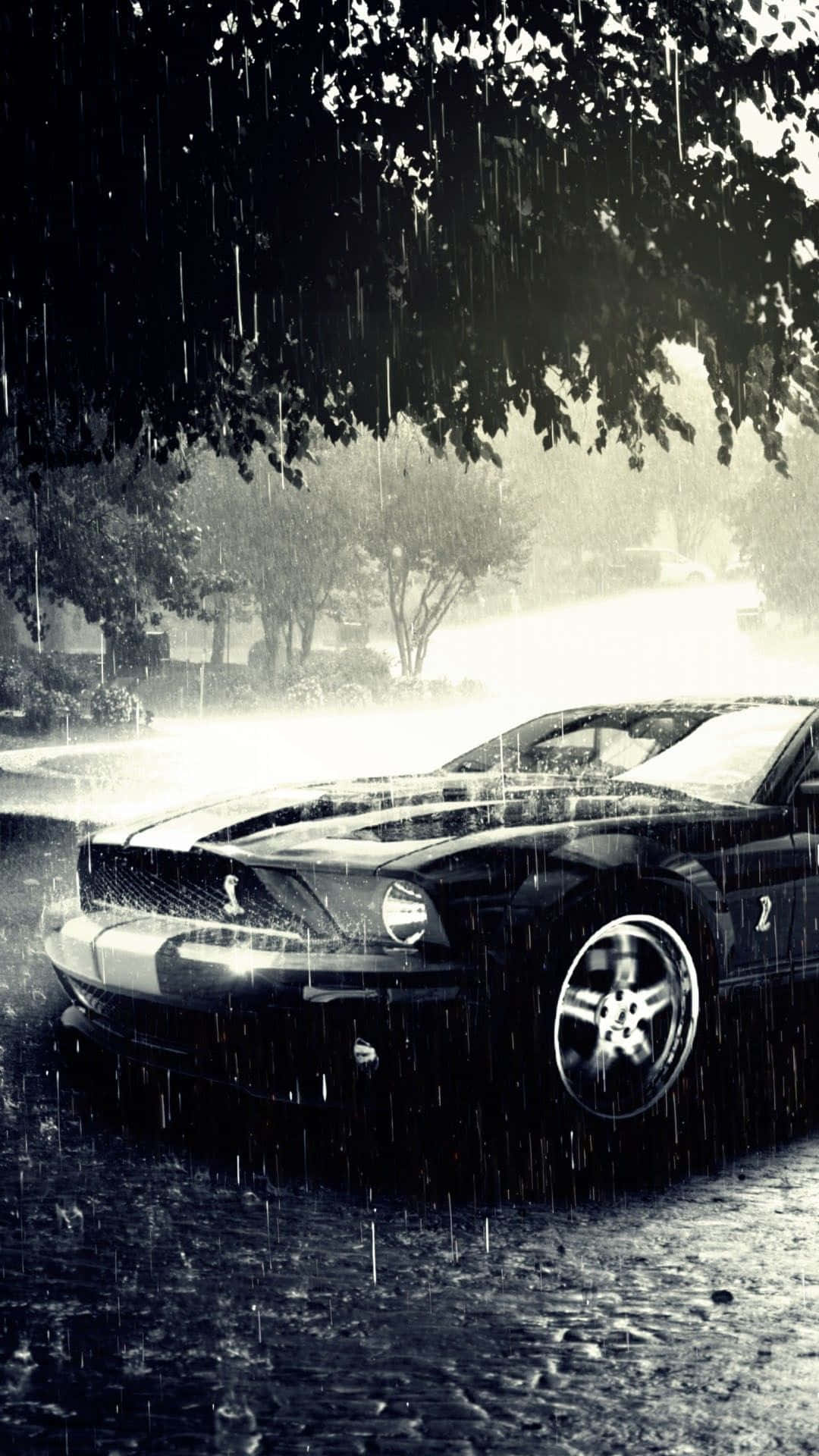 黑色肌肉車在暴雨中停泊在樹下。